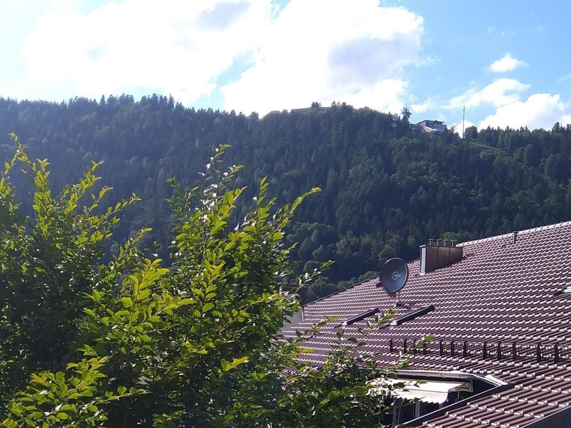 Ferienwohnung Tannenwald Bad Wildbad Exteriör bild